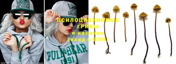 трава Верхнеуральск