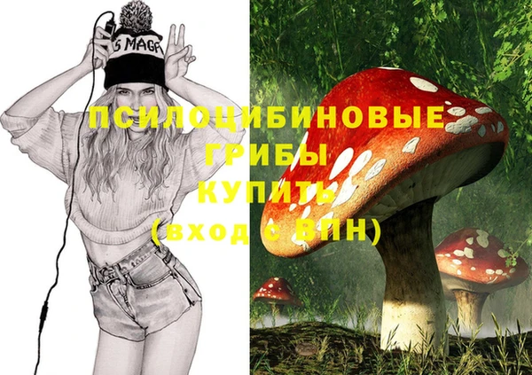 не бодяженный Верея