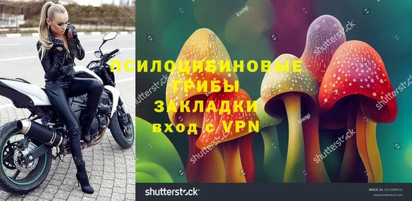 трава Верхнеуральск